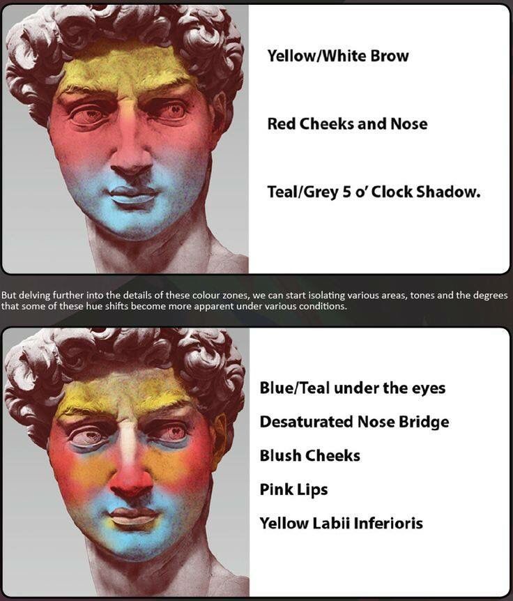 graphic showing color zones of the face