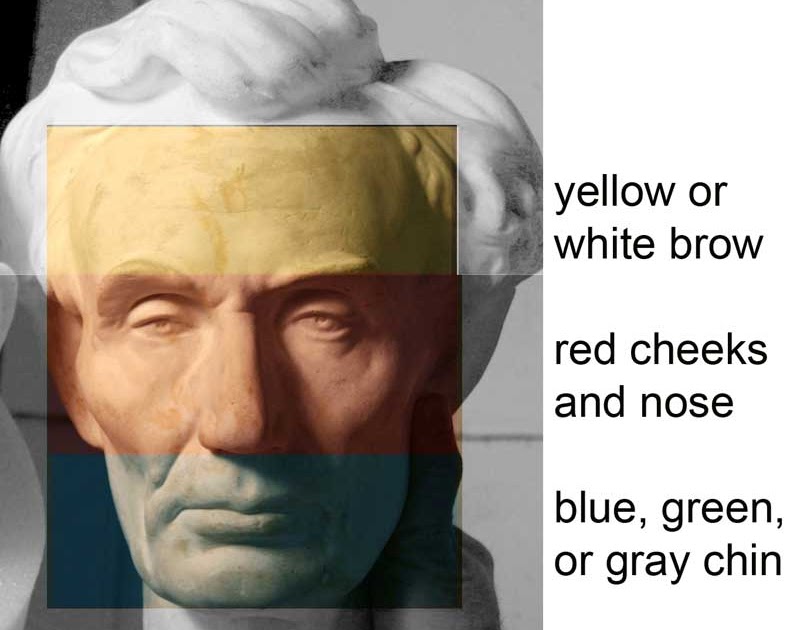 graphic showing color zones of the face