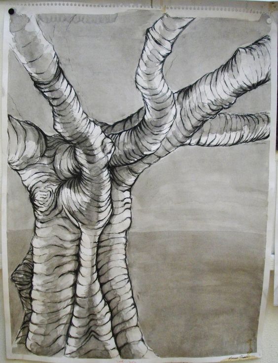 image of a cross-contour drawing of a tree