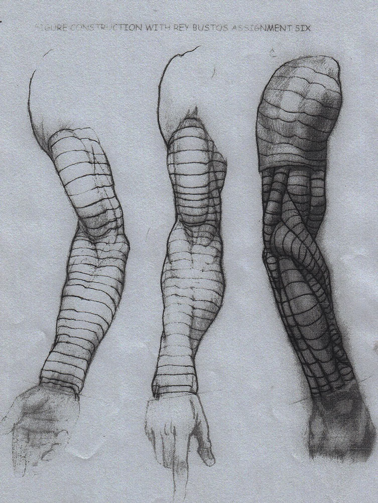 image of a cross-contour drawing of an arm