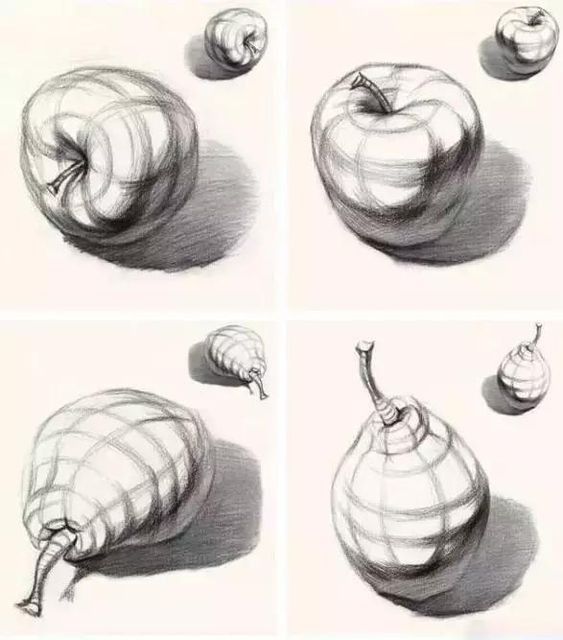 image of a cross-contour drawing of pears and apples