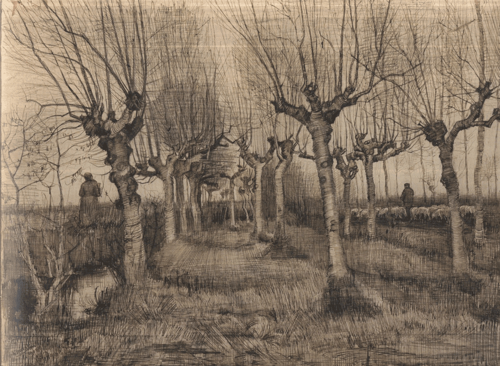 image of the painting titled Pollard Birches