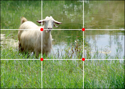 photo with 1/3 lines overlaid on top