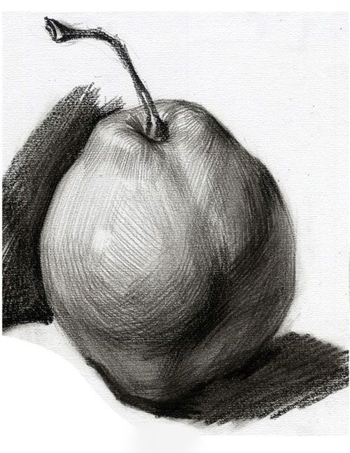 planar drawing of a still-life