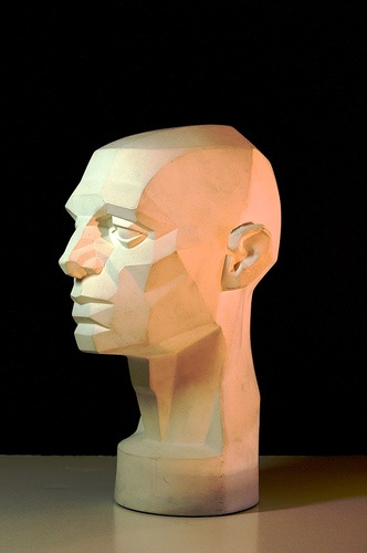 photo of a model of a human head
