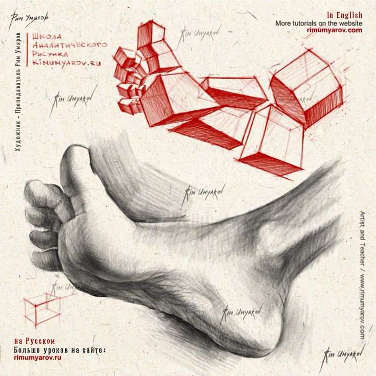 planar drawing of a foot