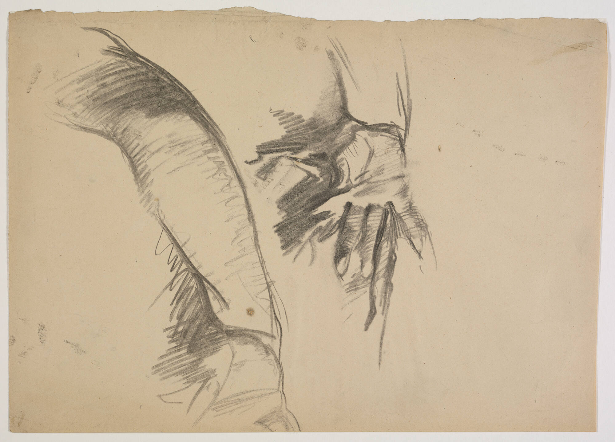 image of a preparatory drawing for the painting El Jaleo